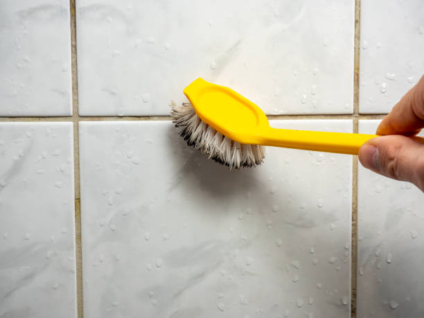 Best Mold Damage Repair  in Lakewood Park, FL