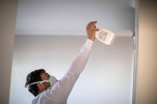 Best Fast Mold Removal  in Lakewood Park, FL