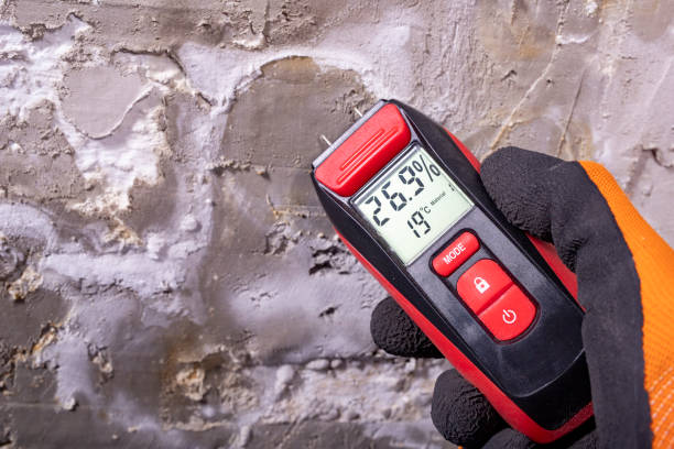 Best Best Mold Removal Companies  in Lakewood Park, FL